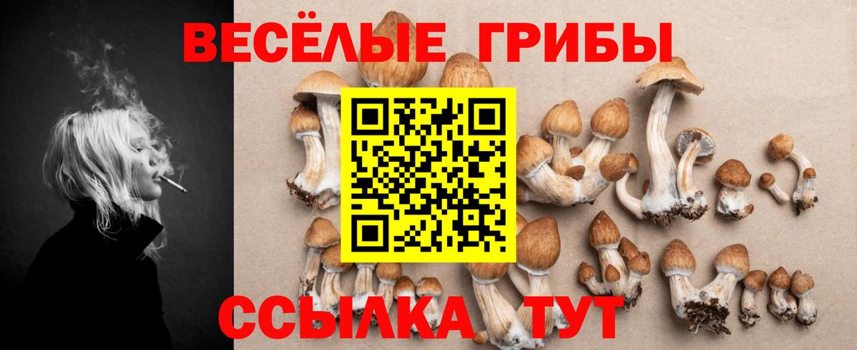 Псилоцибиновые грибы прущие грибы  Вход с VPN  Ишимбай 
